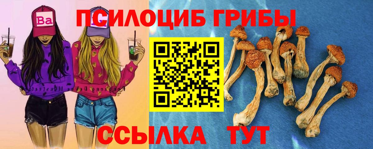 Галлюциногенные грибы мицелий  Псилоцибиновые грибы GOLDEN TEACHER  Вход с VPN  Новочебоксарск 